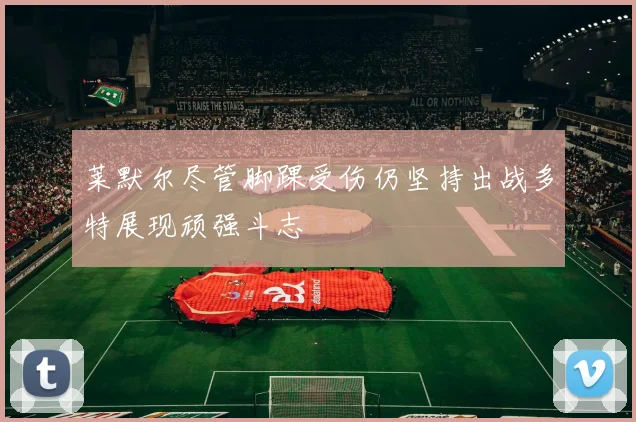 莱默尔尽管脚踝受伤仍坚持出战多特展现顽强斗志