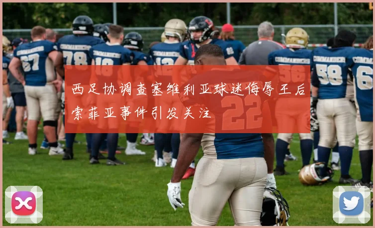 西足协调查塞维利亚球迷侮辱王后索菲亚事件引发关注