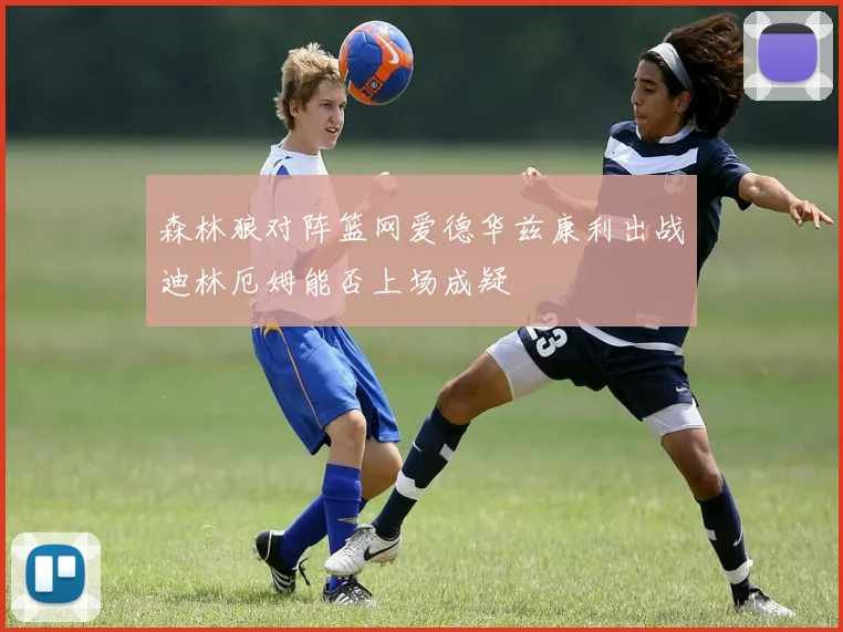 森林狼对阵篮网爱德华兹康利出战迪林厄姆能否上场成疑