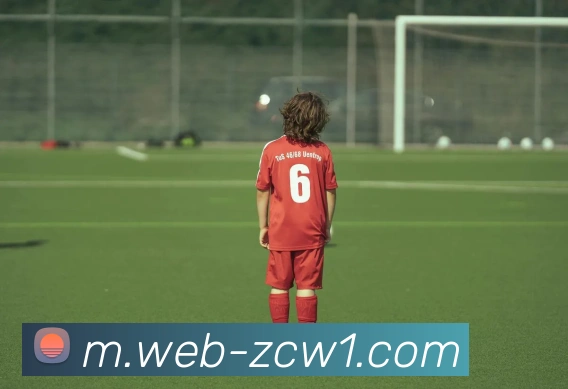 足球投注网发展历程